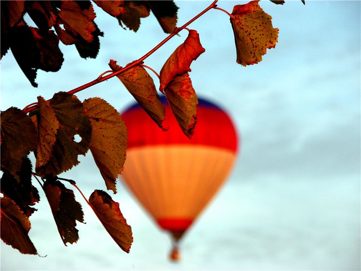 Picture Of Balloon And Nature